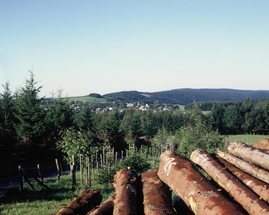 Aussichtsbauernhofpension Hof Gretchens Winterberg Exterior foto