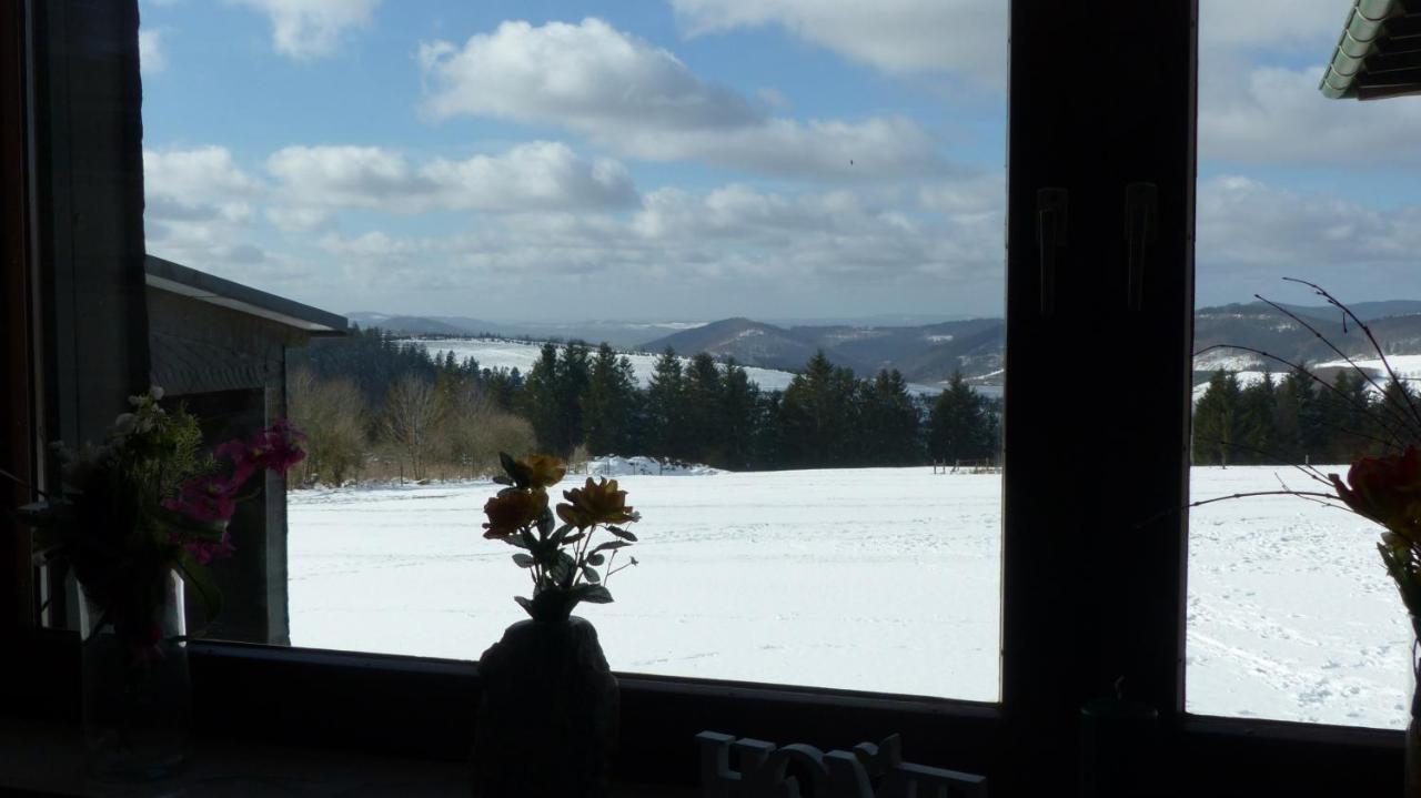 Aussichtsbauernhofpension Hof Gretchens Winterberg Exterior foto