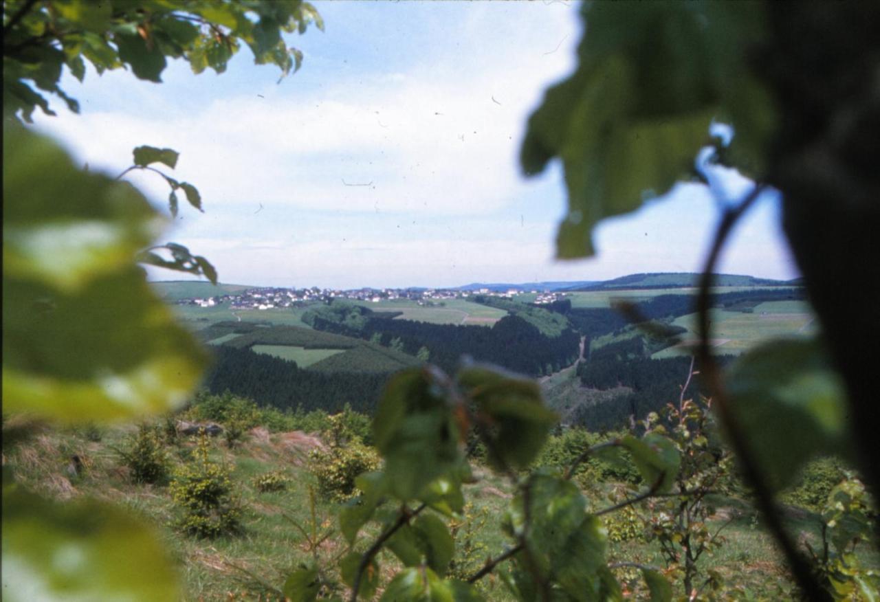 Aussichtsbauernhofpension Hof Gretchens Winterberg Exterior foto